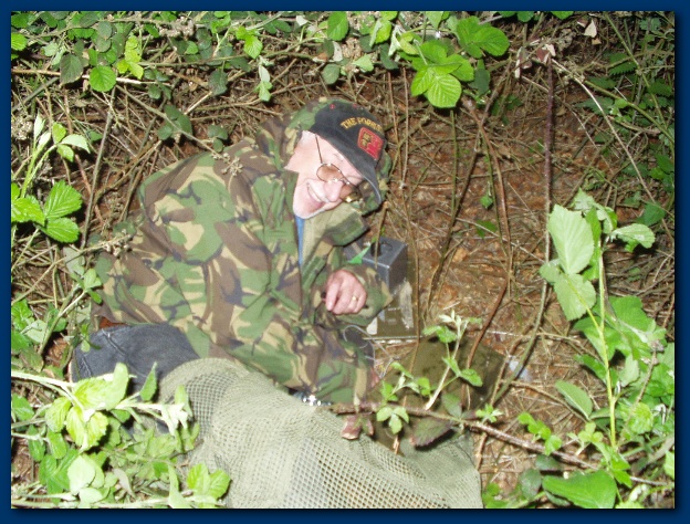 600x449 pixels (189K)